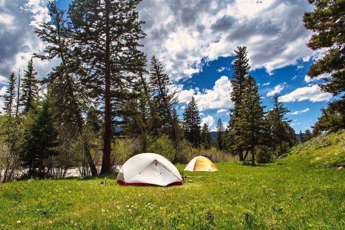 Tents nestled into the campsite