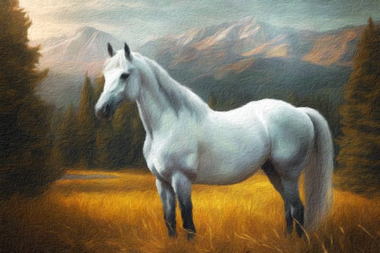 Beautiful Beula the horse