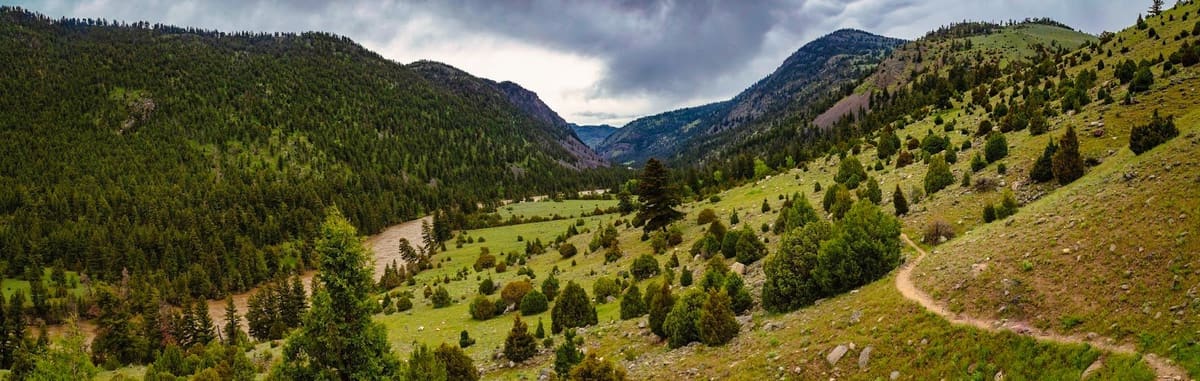 Mountain trail leading out of the backcountry