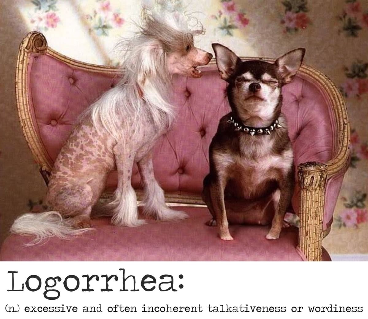 Logorrhea