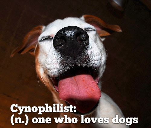 Cynophilist