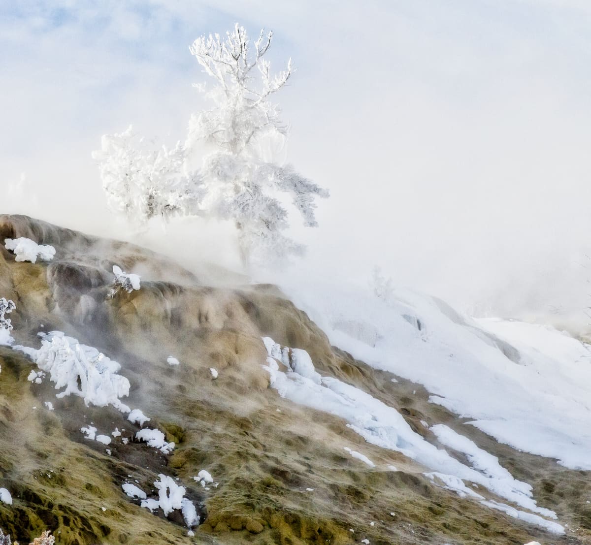 Palette Spring Rime Ice