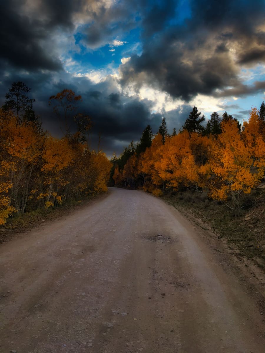 An Autumn Walk