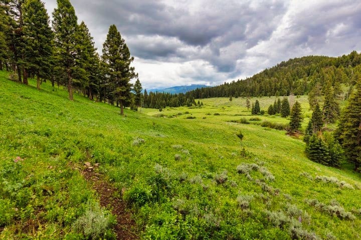 A trail leading to the backcountry
